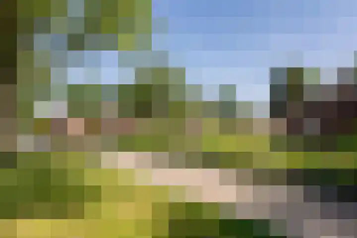 Eikenhorst 1 Rockanje thumbnail 36