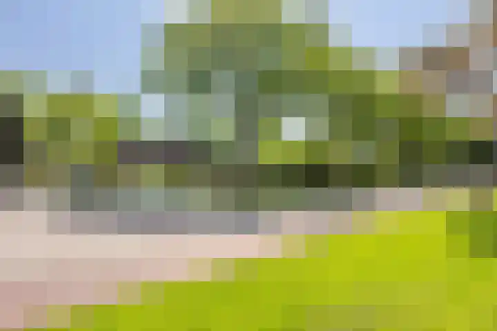Eikenhorst 1 Rockanje thumbnail 38