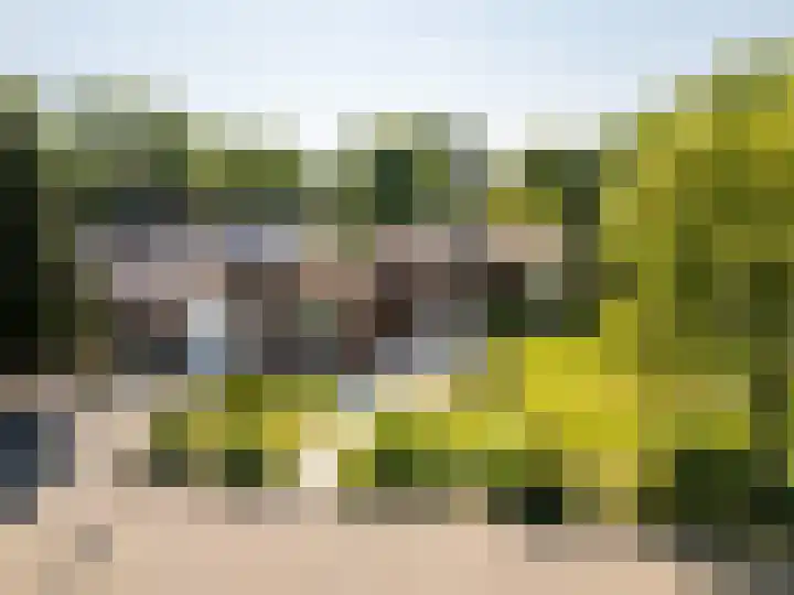 Eikenhorst 1 Rockanje thumbnail 4