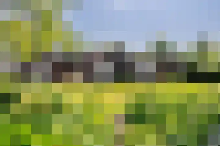Eikenhorst 1 Rockanje thumbnail 40
