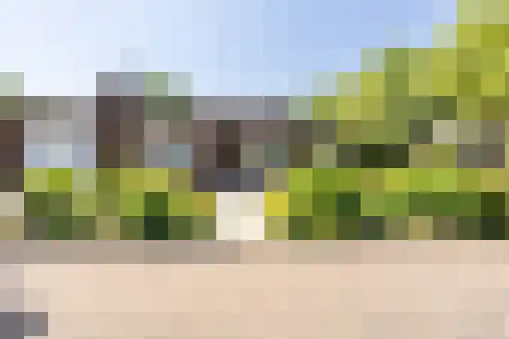 Eikenhorst 1 Rockanje thumbnail 5