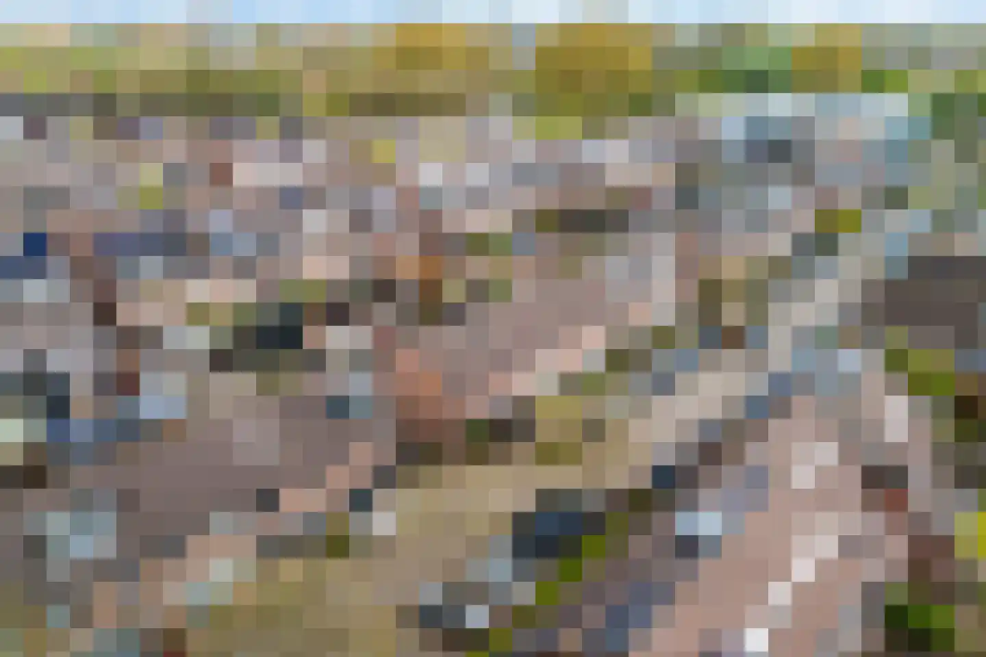 Eikenhorst 13 Alphen aan den Rijn thumbnail 4