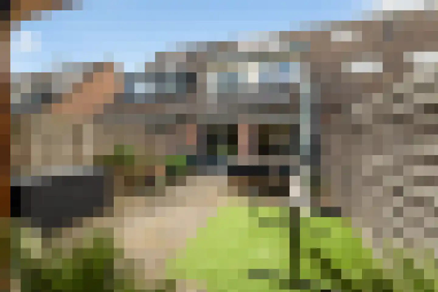 Eikenhorst 13 Alphen aan den Rijn thumbnail 40
