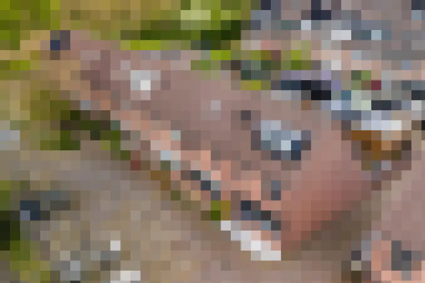 Eikenhorst 13 Alphen aan den Rijn thumbnail 5