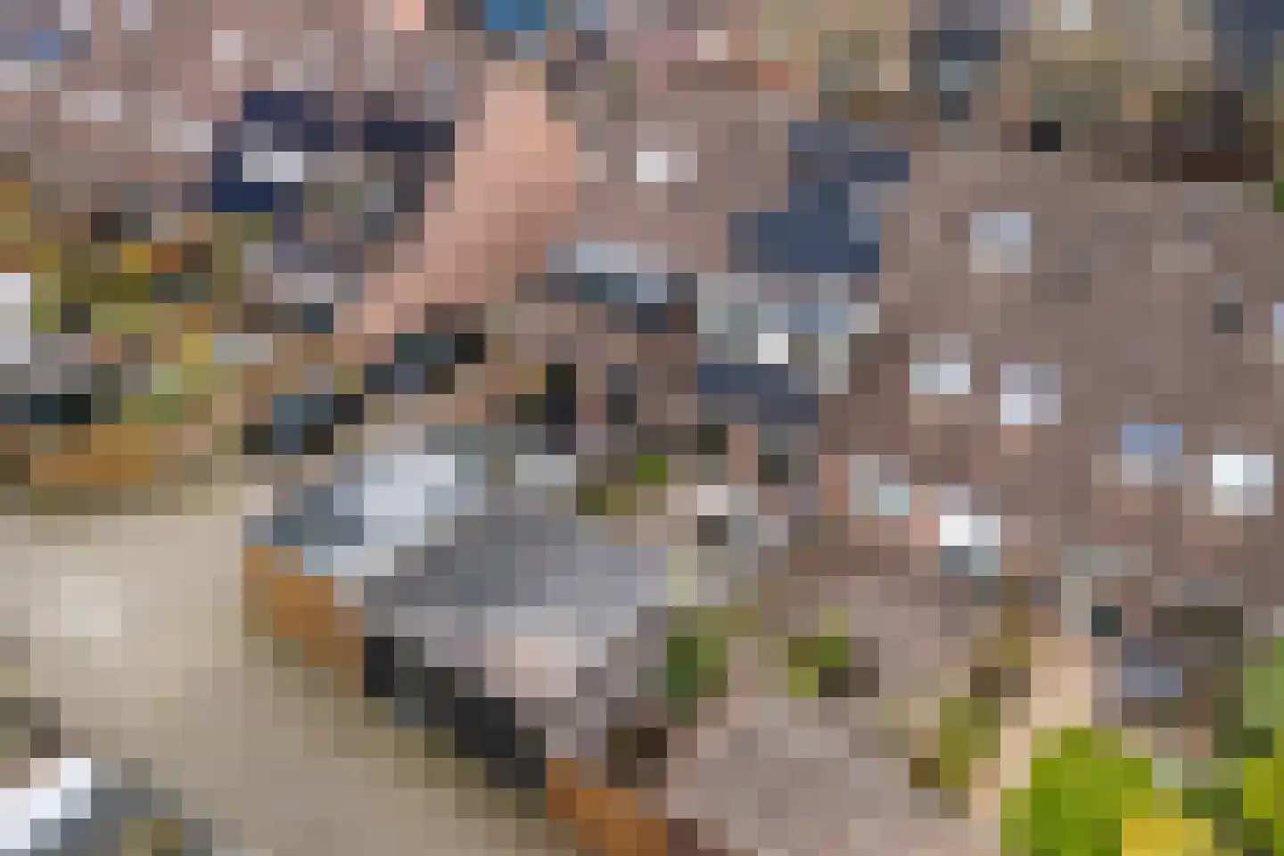 Eikenhorst 13 Alphen aan den Rijn thumbnail 59