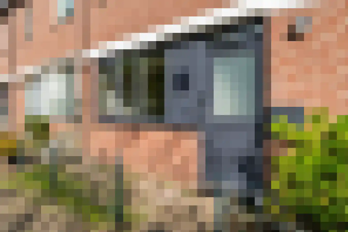 Eikenhorst 13 Alphen aan den Rijn thumbnail 8