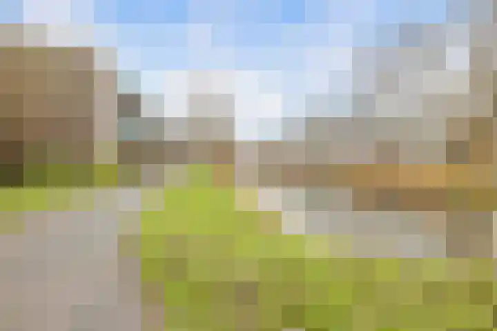Eikenhorst 293 Alphen aan den Rijn thumbnail 31