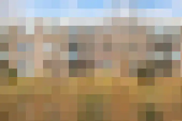 Eikenhorst 293 Alphen aan den Rijn thumbnail 38