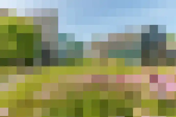 Eikenhorst 3 Koudekerke thumbnail 29
