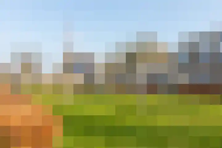 Eikenhorst 3 Koudekerke thumbnail 32