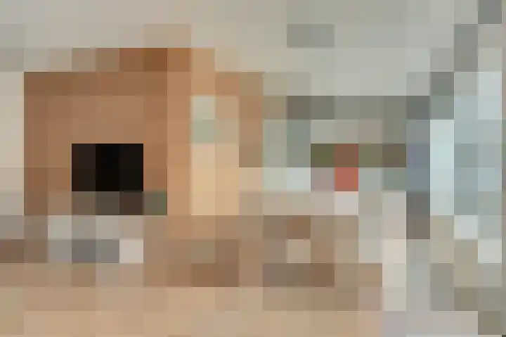 Eikenhorst 3 Rockanje thumbnail 15