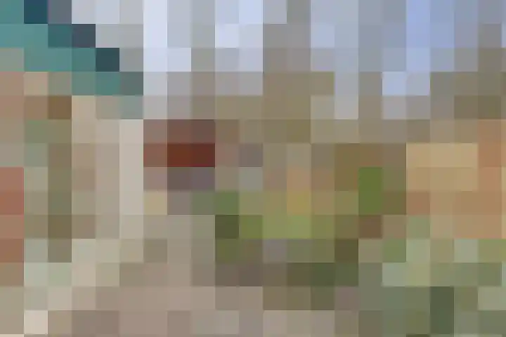 Eikenhorst 3 Rockanje thumbnail 40