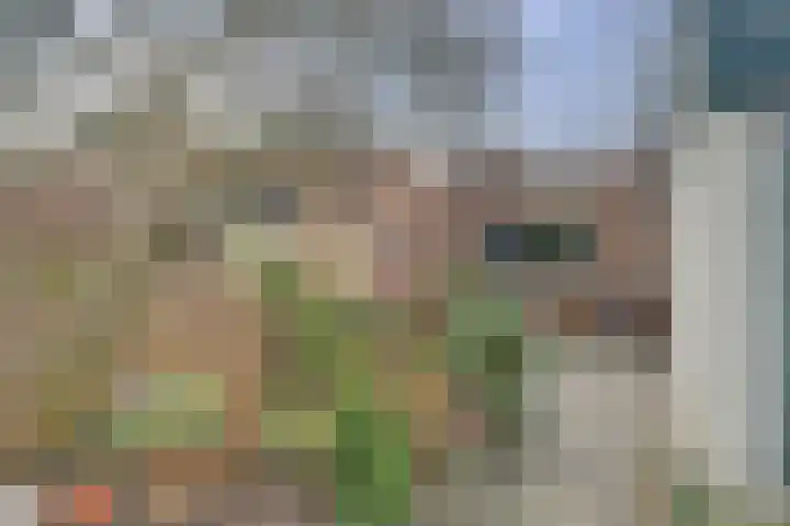 Eikenhorst 3 Rockanje thumbnail 41