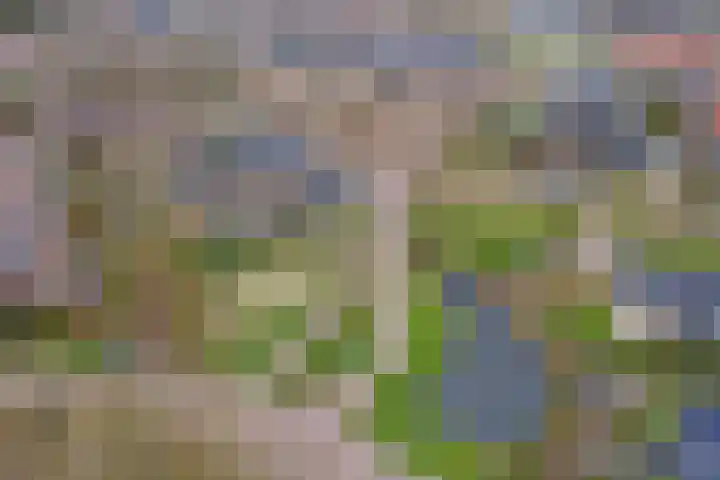 Eikenhorst 3 Rockanje thumbnail 49