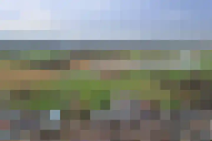 Eikenhorst 3 Rockanje thumbnail 5