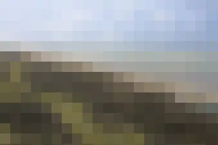 Eikenhorst 3 Rockanje thumbnail 50