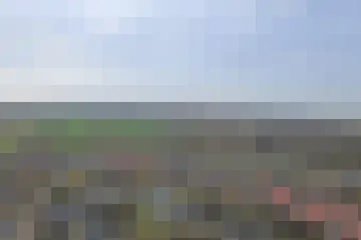 Eikenhorst 3 Rockanje thumbnail 52