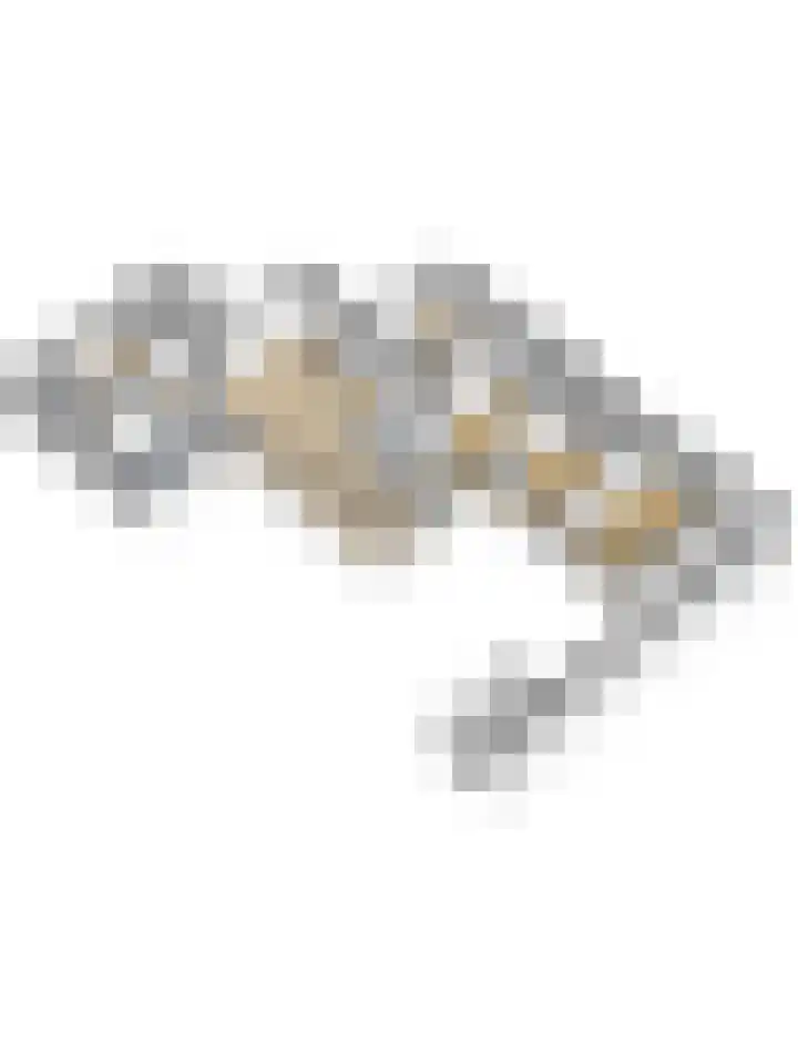 Eikenhorst 3 Rockanje thumbnail 54