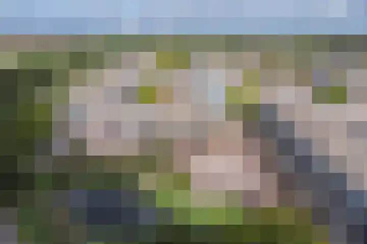 Eikenhorst 309 Alphen aan den Rijn thumbnail 17