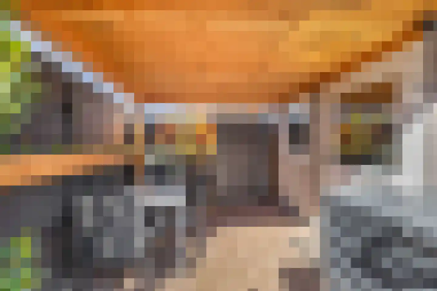 Eikenhorst 34 Julianadorp thumbnail 14