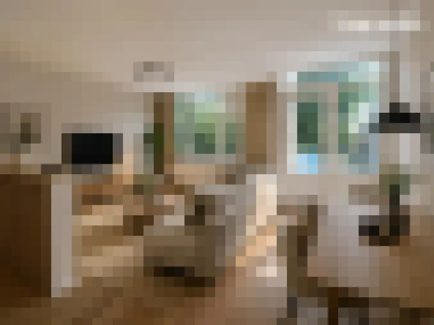 Eikenhorst 417 Alphen aan den Rijn thumbnail 4