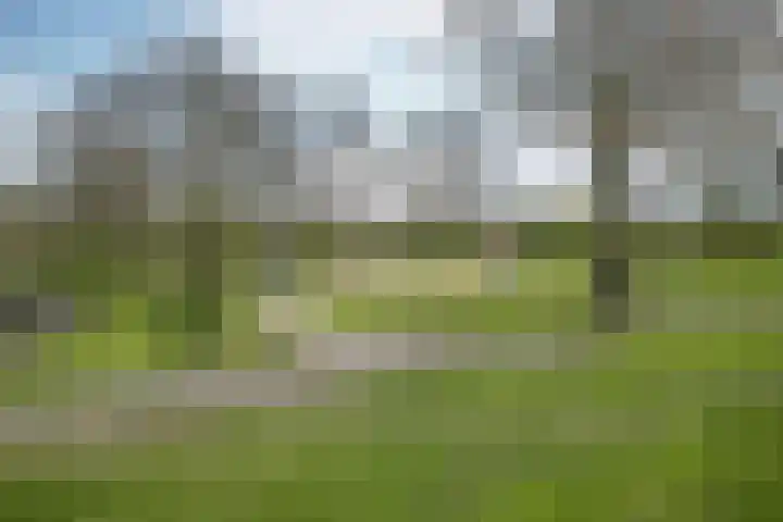 Eikenhorst 419 Alphen aan den Rijn thumbnail 19