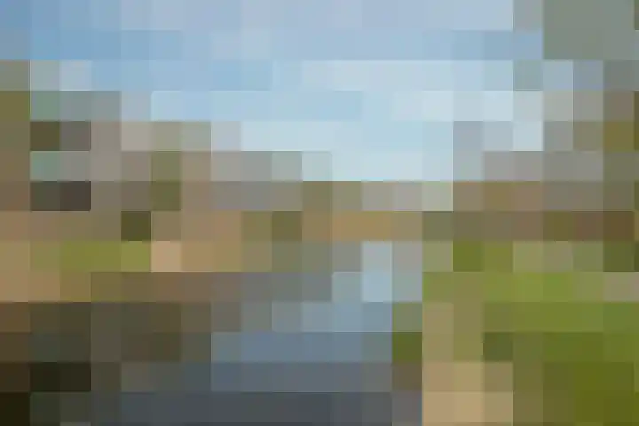 Eikenhorst 419 Alphen aan den Rijn thumbnail 20