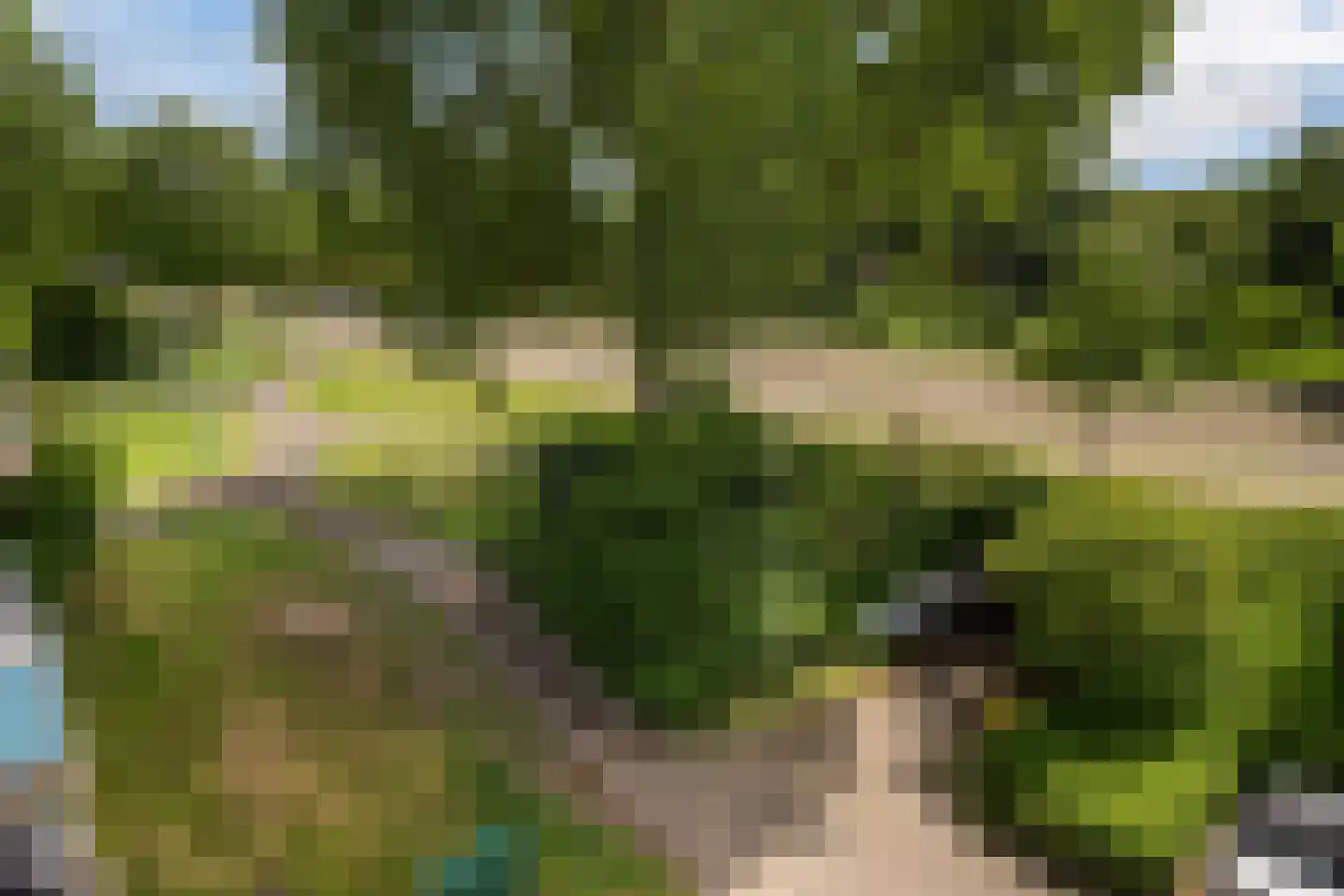 Eikenhorst 421 Alphen aan den Rijn foto 3