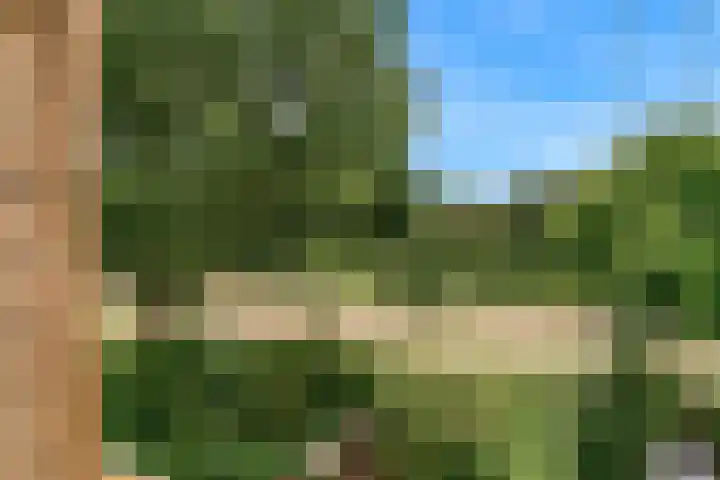 Eikenhorst 423 Alphen aan den Rijn thumbnail 6