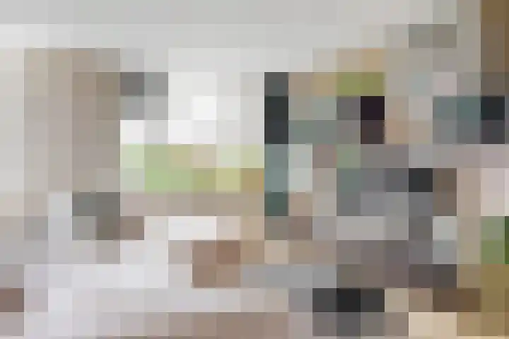 Eikenhorst 423 Alphen aan den Rijn thumbnail 7