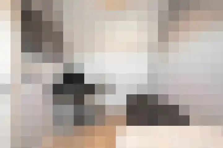 Eikenhorst 44 Julianadorp thumbnail 30
