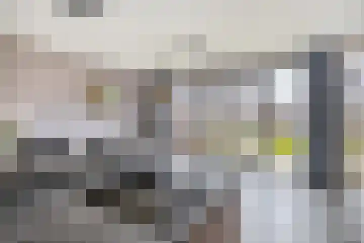 Eikenhorst 48 Julianadorp thumbnail 12
