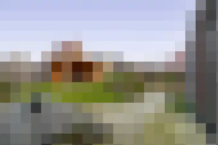 Eikenhorst 48 Julianadorp thumbnail 14