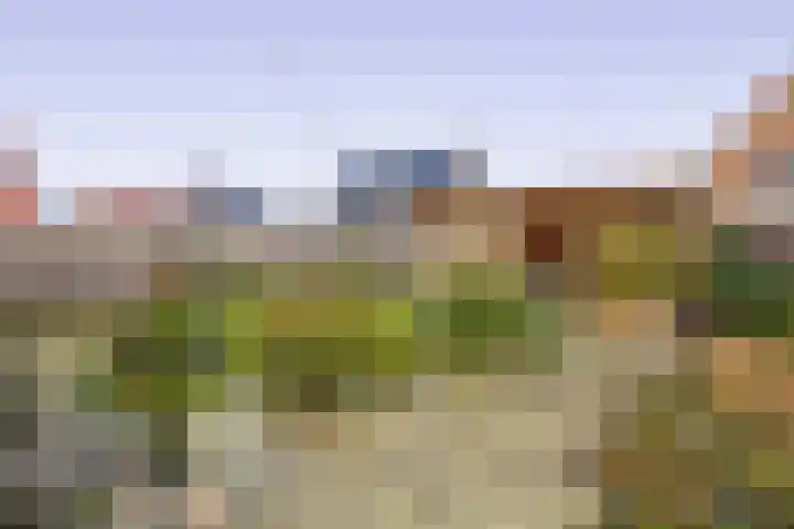Eikenhorst 48 Julianadorp thumbnail 15