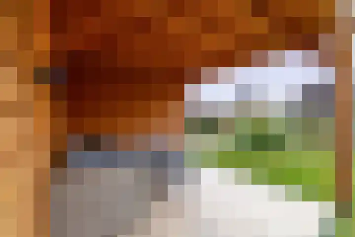 Eikenhorst 48 Julianadorp thumbnail 17