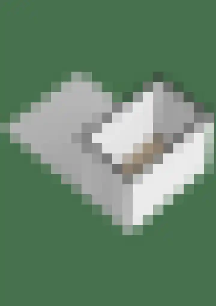 Eikenhorst 48 Julianadorp thumbnail 45