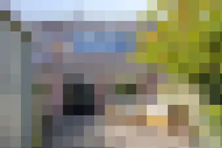 Eikenhorst 53 Alphen aan den Rijn thumbnail 34