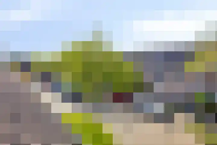 Eikenhorst 53 Alphen aan den Rijn thumbnail 37