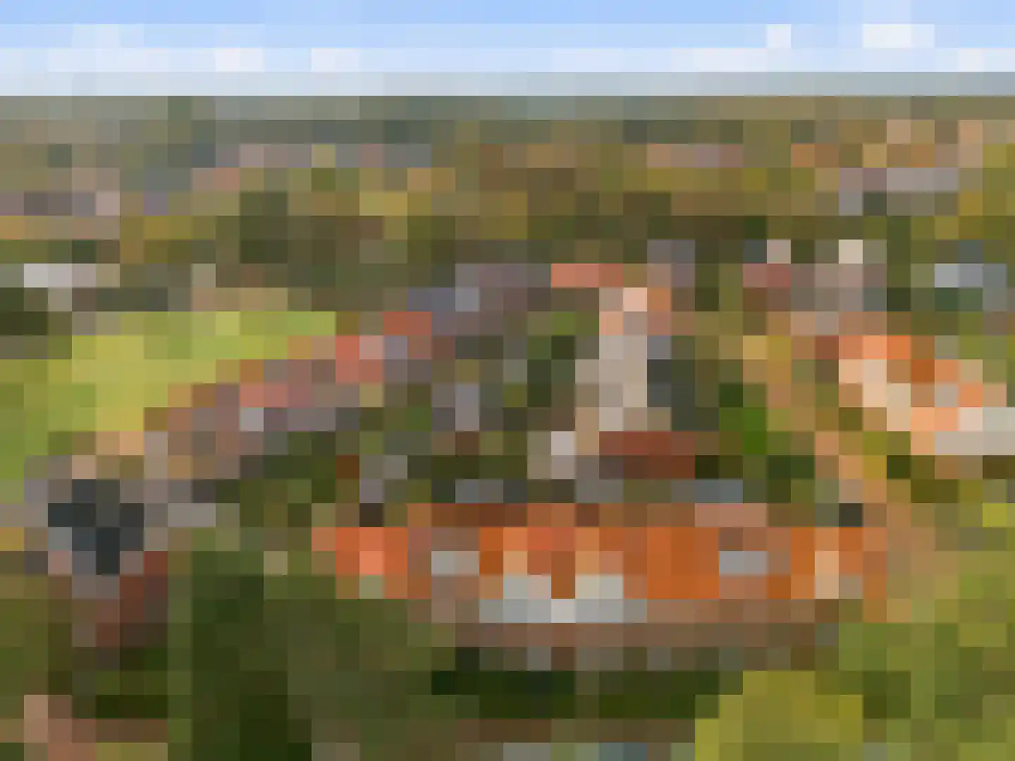 Eikenhorst 55 Castricum thumbnail 37