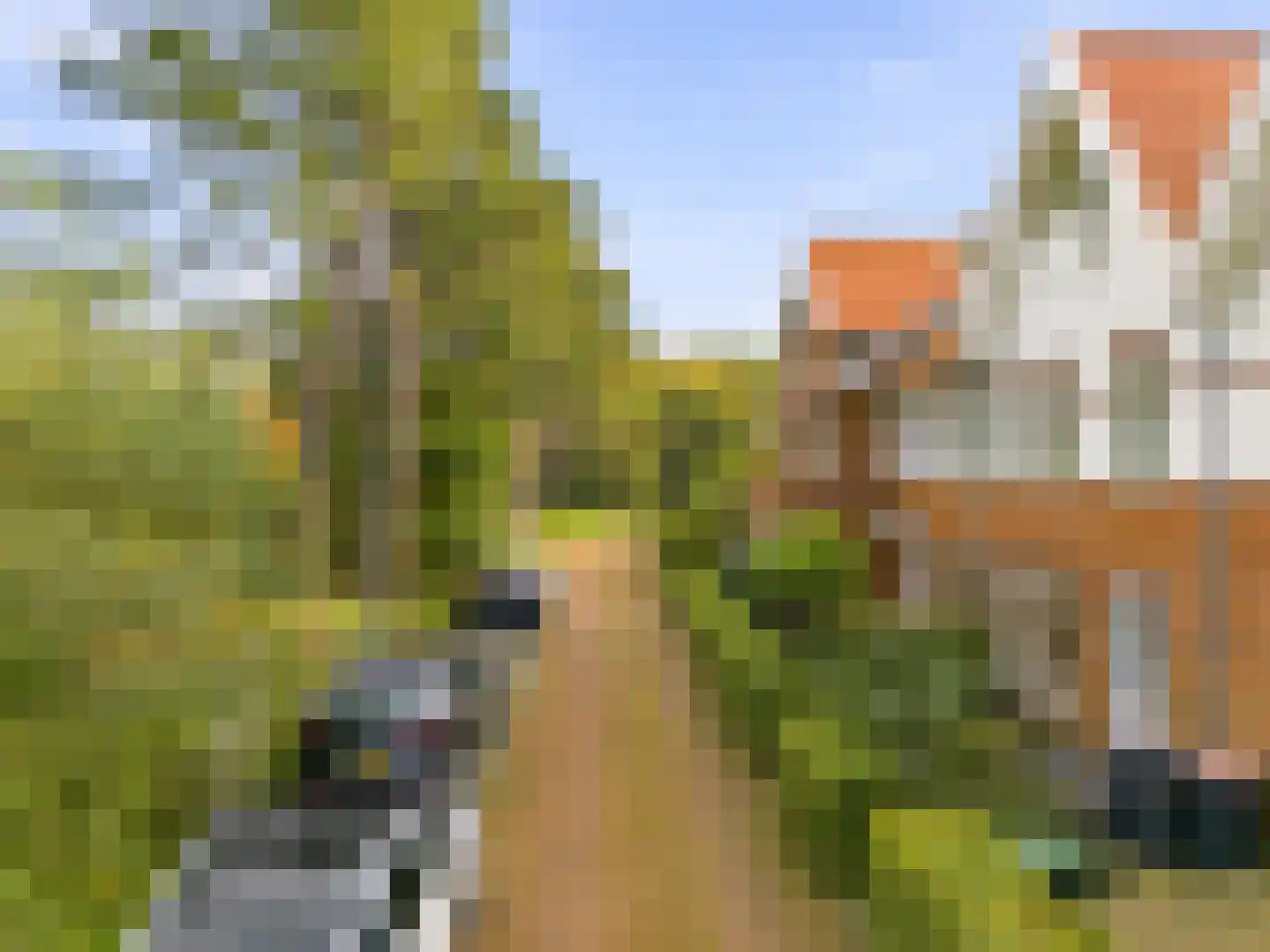 Eikenhorst 55 Castricum thumbnail 40