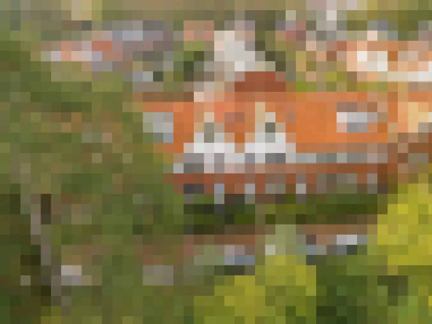 Eikenhorst 55 Castricum thumbnail 42
