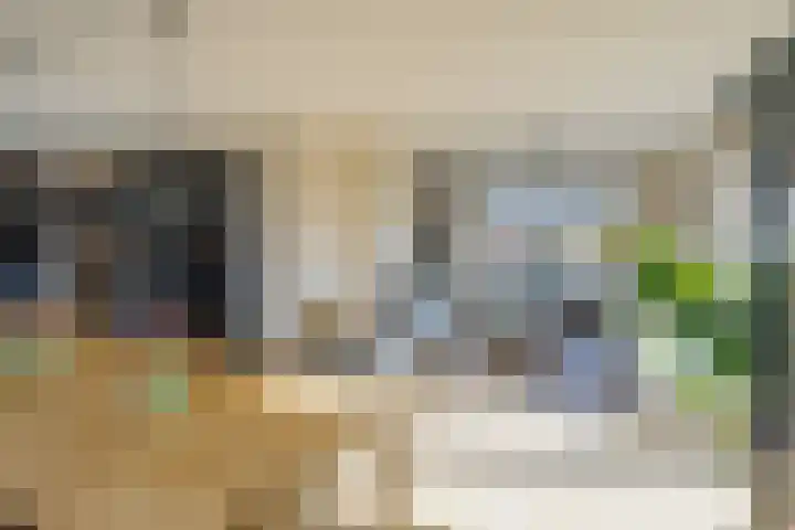 Eikenhorstlaan 5 Voorhout thumbnail 13