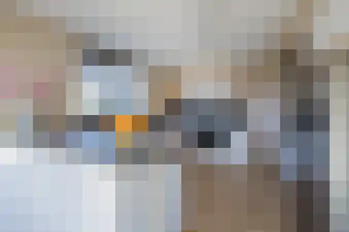 Eikenhorstlaan 5 Voorhout thumbnail 16