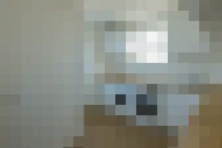 Eikenhorstlaan 5 Voorhout thumbnail 18