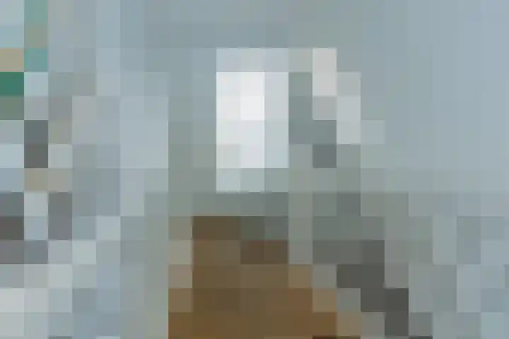 Eikenhorstlaan 5 Voorhout thumbnail 32