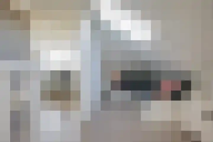 Eikenhorstlaan 5 Voorhout thumbnail 34