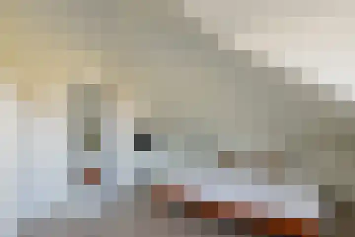 Eikenhorstlaan 5 Voorhout thumbnail 37