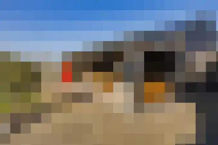 Eikenhorstlaan 5 Voorhout thumbnail 40