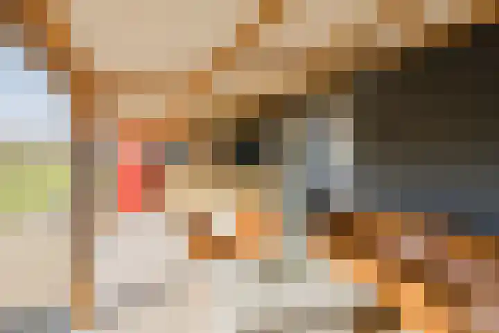 Eikenhorstlaan 5 Voorhout thumbnail 42