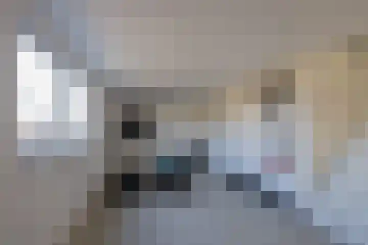 Eikenhorstlaan 5 Voorhout thumbnail 45